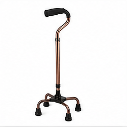 Quadripod Walking Stick