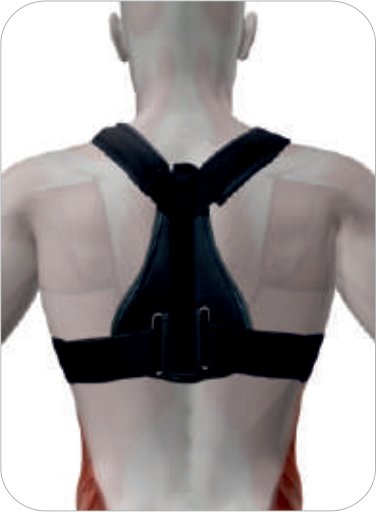 IGR Meek Clavicle T Brace