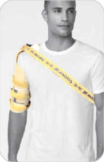 IGR Humerus with Shoulder