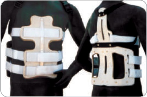 IGR Universal Spinal Support