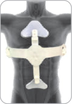 IGR Ash Brace (Hyper Extension) Adjustable