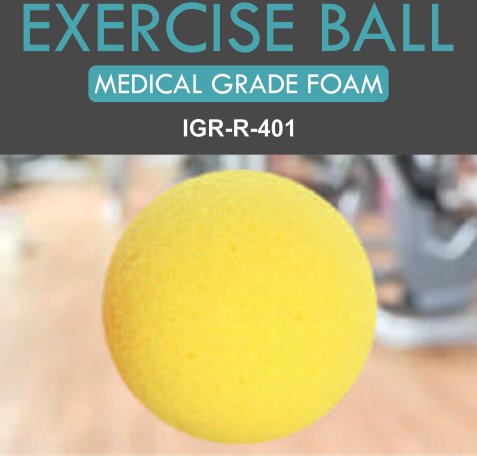 IGR Exercise Ball (Medical Grade Foam)