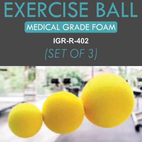 IGR Exercise Ball Set of 3 (Medical Grade Foam)