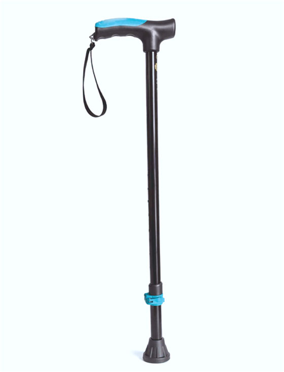 Monowalk Stick